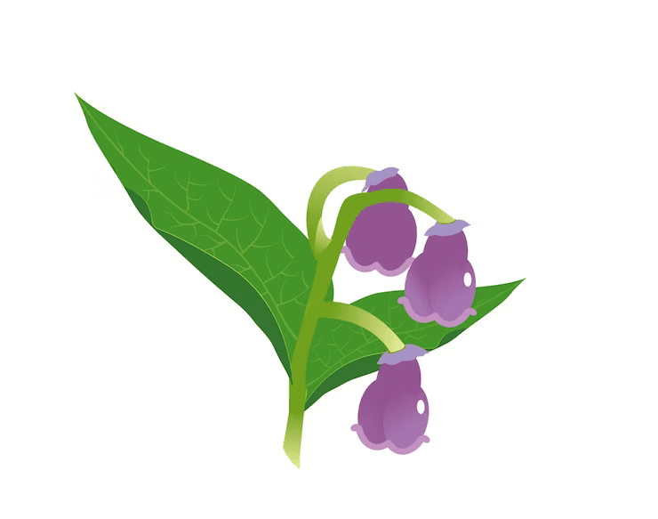 Allantoin