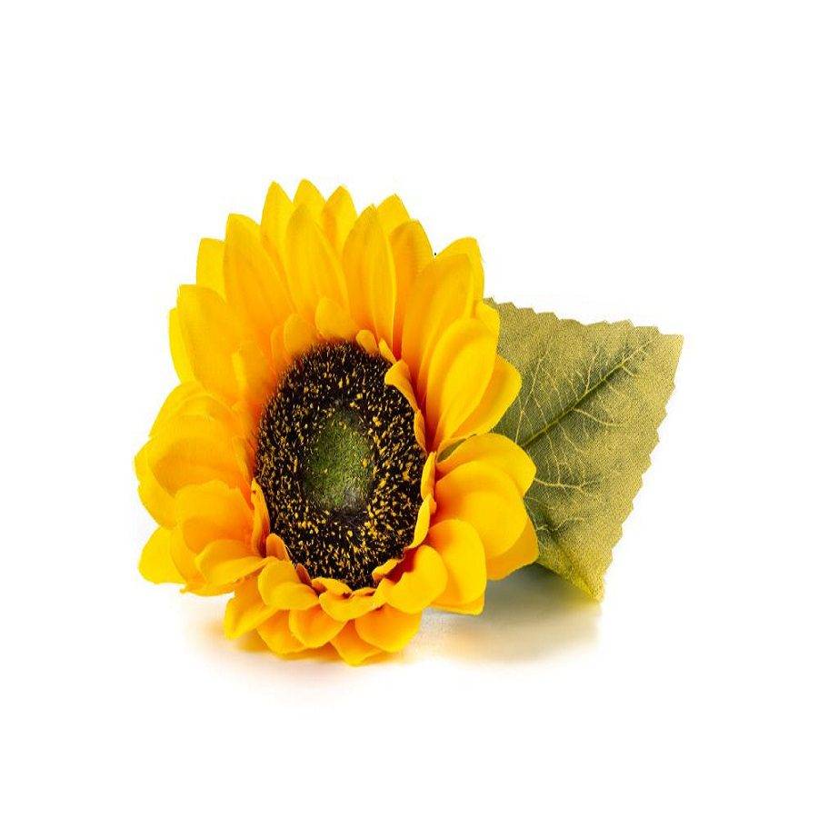Calendula Oil