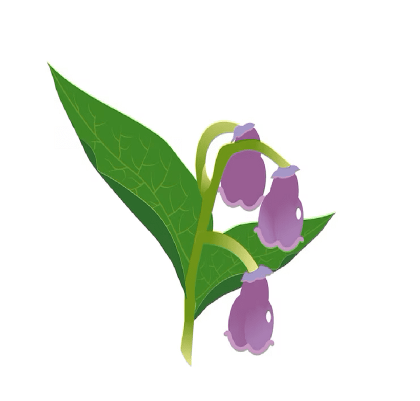Allantoin