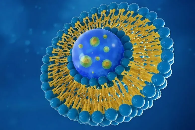 Innovative Oncology