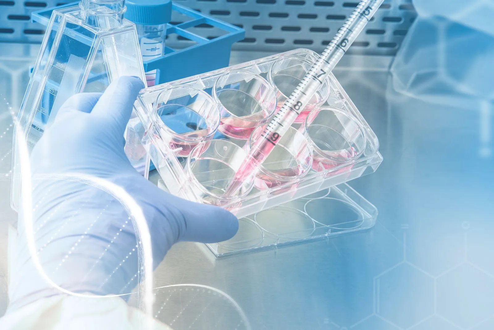CDK-4/6 Inhibitors