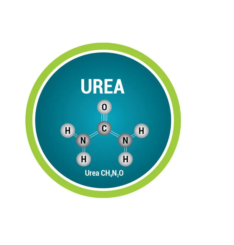 Urea